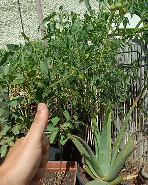 Agroécologie et Permaculture en Occitanie 6